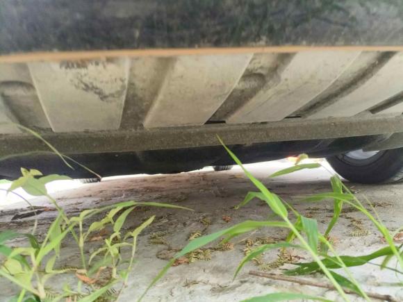 [合肥·皖A] 二手福特福克斯2017款 1.5T CTCC 白黑限量版