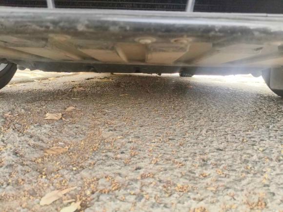 [湖州·浙E] 二手凯迪拉克凯迪拉克CT62016款 28T 铂金版