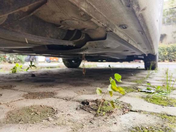 [合肥·皖A] 二手大众捷达2015款 1.4L 手动时尚型