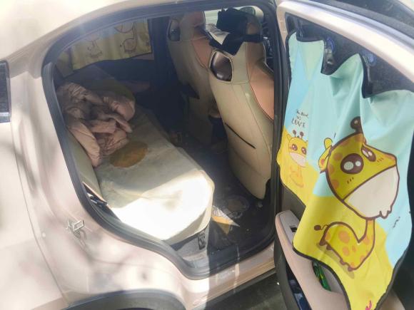 [上海·苏F] 二手比亚迪海鸥2024款 荣耀版 305km 自由版