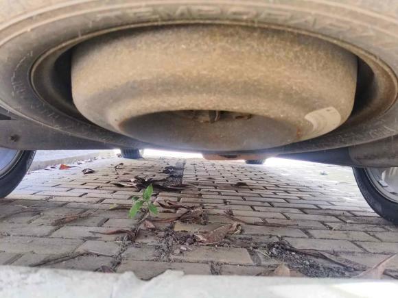 [南通·苏F] 二手道奇酷威2013款 2.4L 两驱尊尚版