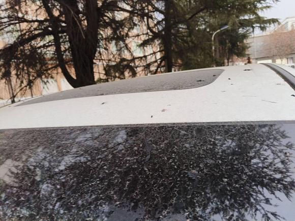 [上海·浙F] 二手本田艾力绅2016款 2.4L 至尊版