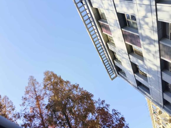 [上海·沪A] 二手奥迪奥迪A4L2019款 40 TFSI 时尚型 国VI