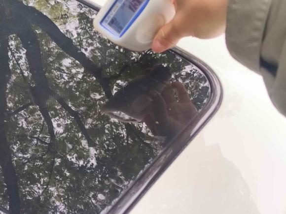 [杭州·黑C] 二手起亚起亚K32013款 1.6L 自动GLS