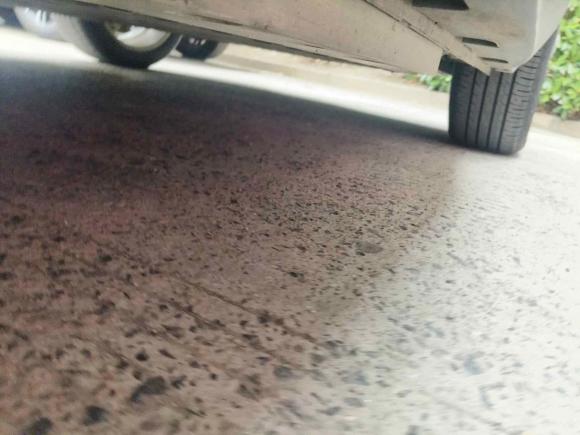 [上海·沪A] 二手欧拉欧拉好猫2021款 400km标准续航 雅典娜版 磷酸铁锂