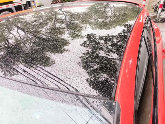 [上海·沪B] 二手保时捷Cayenne2019款 Cayenne 3.0T