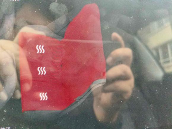 [上海·沪A] 二手特斯拉Model 32019款 长续航后驱版