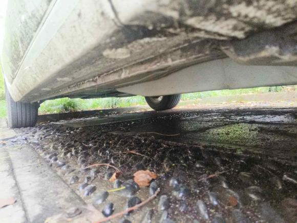 [上海·沪C] 二手别克英朗2019款 18T 自动互联精英型 国VI