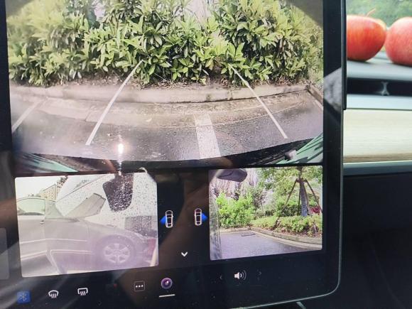 [上海·沪A] 二手特斯拉Model 32021款 标准续航后驱升级版 3D6