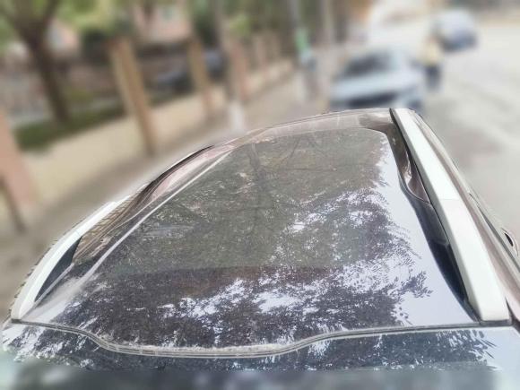 [上海·桂A] 二手标致标致20082014款 1.6L 自动领航版