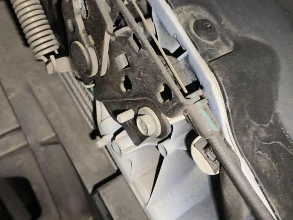 [嘉兴·浙F] 二手福特福睿斯2019款 改款 1.5L 自动质享型 国VI