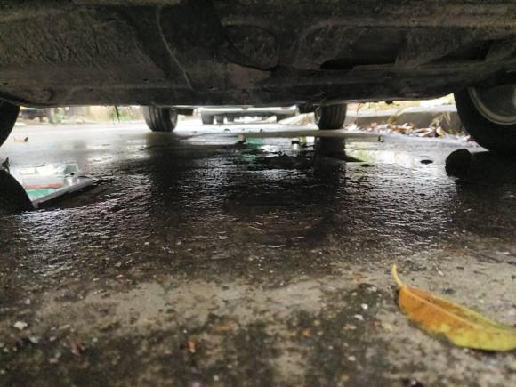 [合肥·皖A] 二手大众朗逸2015款 1.6L 自动舒适版