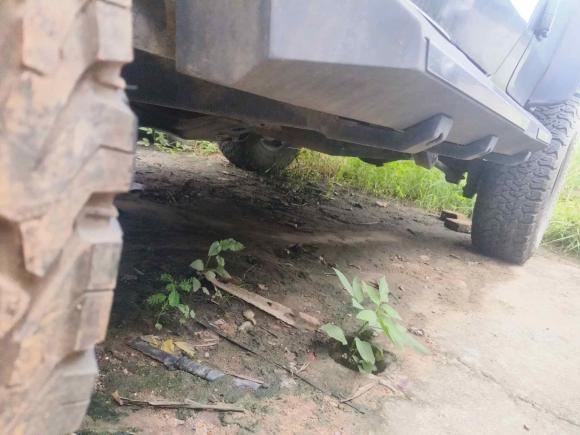 [佛山·粤E] 二手北京越野北京越野BJ402020款 2.3T 自动四驱雨林穿越版