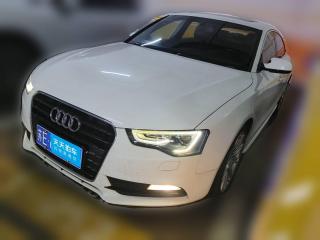 奥迪奥迪A52013款 Sportback 40 TFSI风尚版