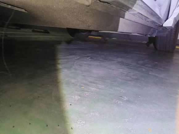 [武汉·鄂A] 二手奥迪奥迪Q32018款 35 TFSI 时尚型典藏版