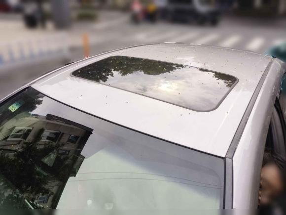 [杭州·浙A] 二手丰田亚洲龙2019款 双擎 2.5L 豪华版 国VI