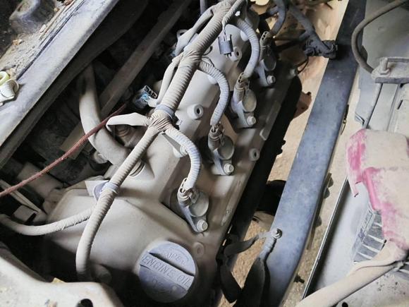 [苏州·豫D] 二手长安跨越新豹32019款 1.5L标准型单排后单轮标准货箱DK15C