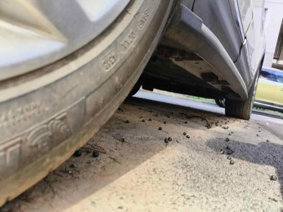 [上海·沪A] 二手林肯林肯MKC2017款 2.0T 四驱尊雅版