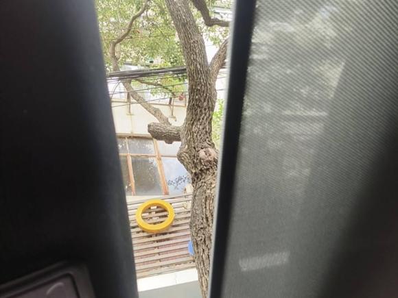 [合肥·皖G] 二手福特福克斯2020款 三厢 EcoBoost 180 自动ST Line