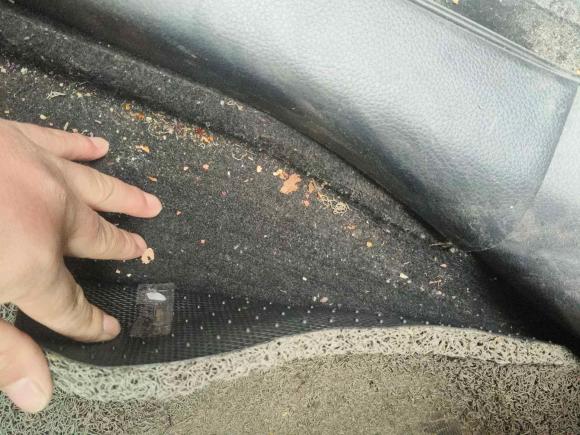 [常州·苏D] 二手日产轩逸2019款 经典 1.6XL CVT豪华版