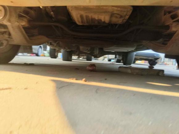 [南昌·赣A] 二手江铃特顺2017款 2.8T商运型短轴中顶6/7/8座JX493