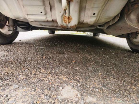 [济南·鲁N] 二手本田锋范经典2008款 1.5L 自动精英版