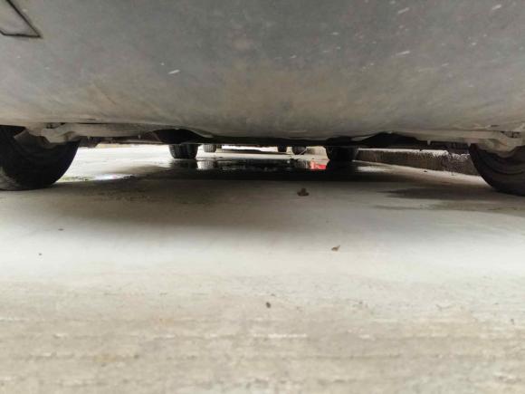 [上海·沪A] 二手特斯拉Model 32020款 改款 标准续航后驱升级版