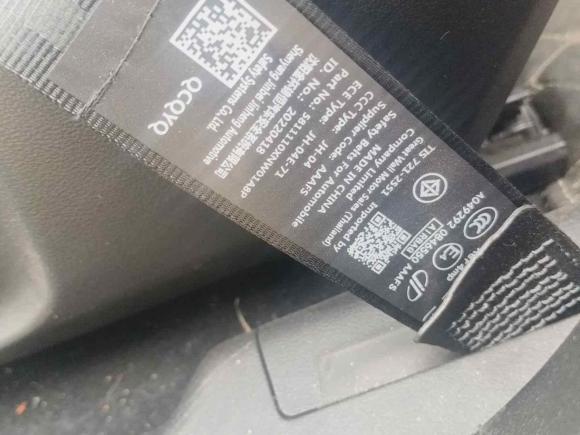 [常州·苏D] 二手欧拉欧拉好猫2022款 400km标准续航 豪华型 磷酸铁锂