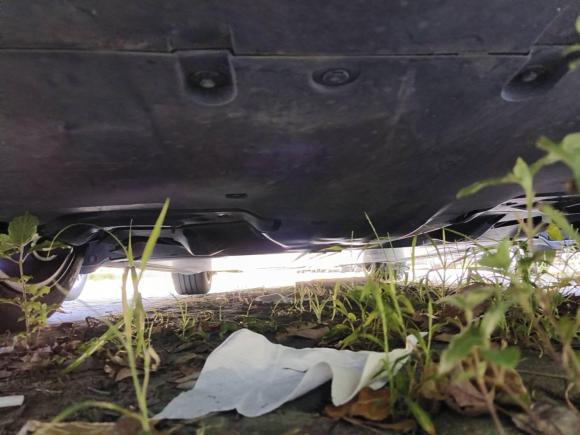 [上海·沪A] 二手特斯拉Model Y2023款 后轮驱动版