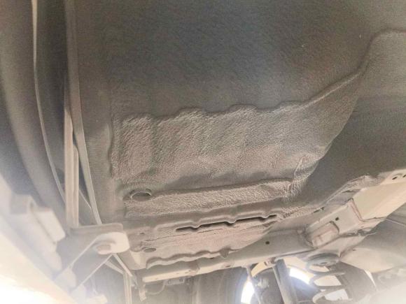 [杭州·浙E] 二手比亚迪海豚2023款 420km 时尚版