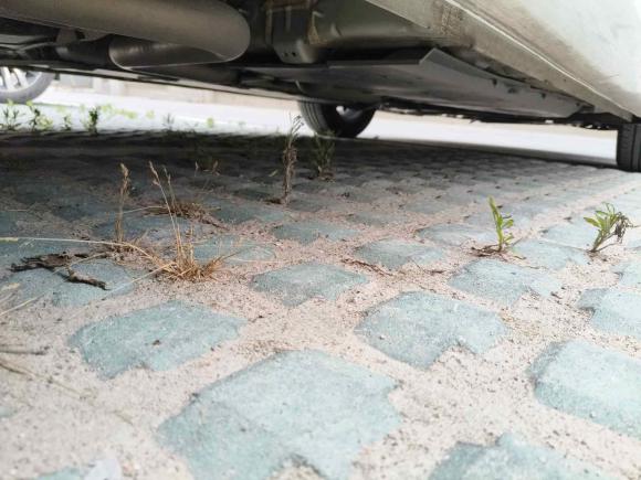 [合肥·皖A] 二手长安逸动2023款 畅享版 PLUS 蓝鲸NE 1.4T GDI DCT尊贵版