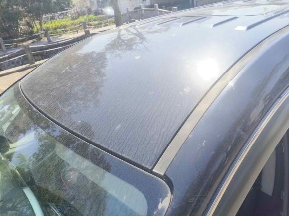 [上海·苏F] 二手江汽集团瑞风M42016款 2.0L 手动豪华型