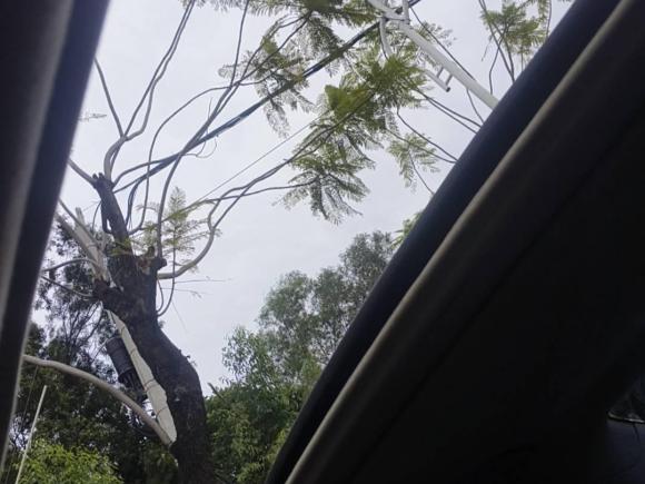 [广州·粤R] 二手丰田凯美瑞2007款 240V NAVI至尊导航版