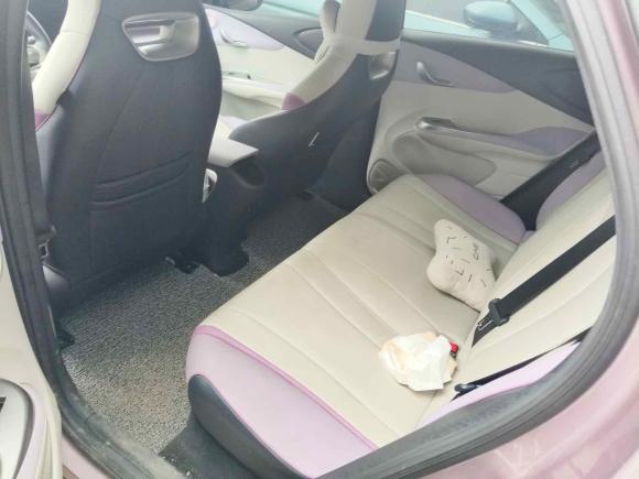 [深圳·粤B] 二手比亚迪海豚2021款 405km 时尚版