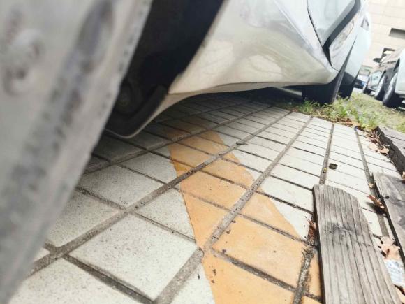 [上海·沪A] 二手特斯拉Model 32019款 标准续航后驱升级版