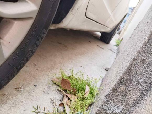 [上海·湘L] 二手吉利汽车远景2018款 1.5L 自动尊贵型