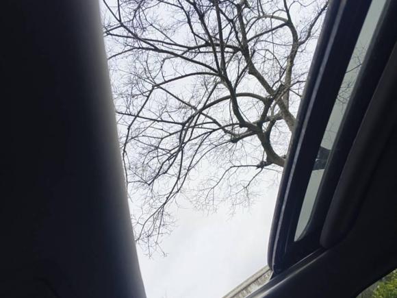 [杭州·浙A] 二手本田思铂睿2017款 2.0L 经典版