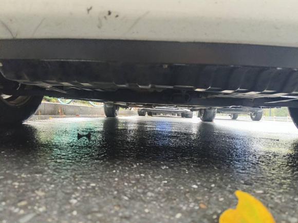 [杭州·沪C] 二手起亚起亚K22015款 两厢 1.4L AT GLS炫酷版