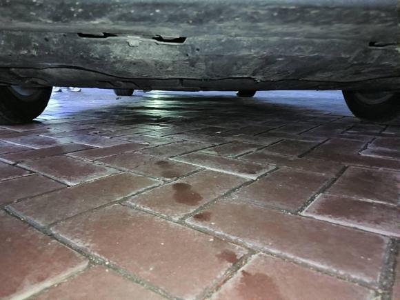 [济南·鲁N] 二手丰田亚洲狮2021款 2.0L 尊享版