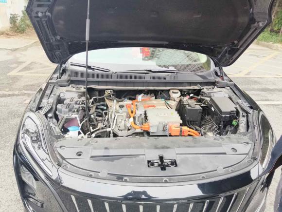 [合肥·吉H] 二手红旗红旗E-QM52022款 431km 充电乐享版