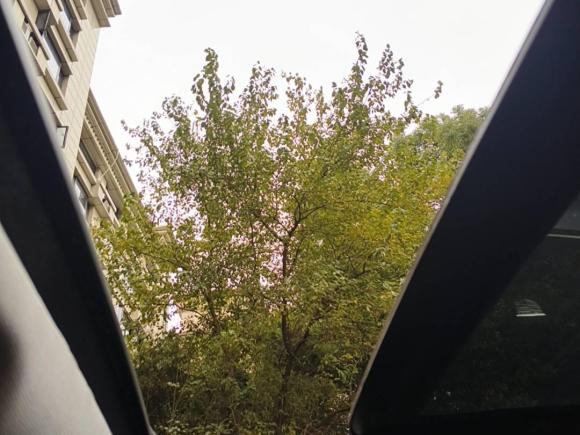 [上海·沪B] 二手奥迪奥迪Q32015款 30 TFSI 舒适型