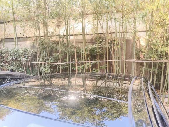 [上海·沪B] 二手奔驰奔驰E级2015款 E 260 L 豪华型