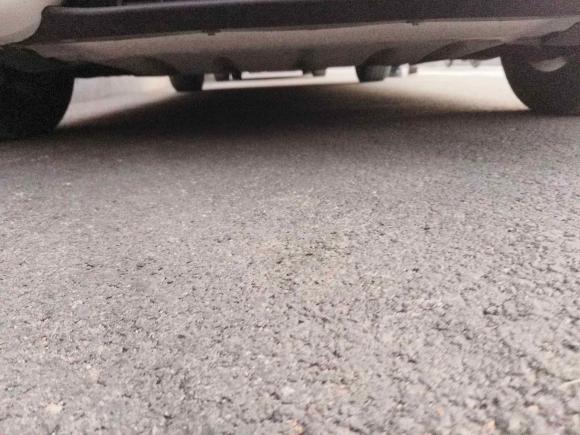 [青岛·鲁B] 二手宝马宝马3系2013款 320i 时尚型