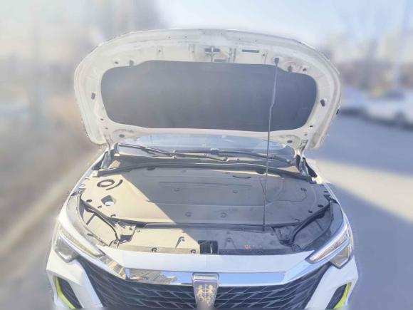 [上海·沪B] 二手荣威荣威i6 MAX新能源2021款 EV 500天幕旗舰版
