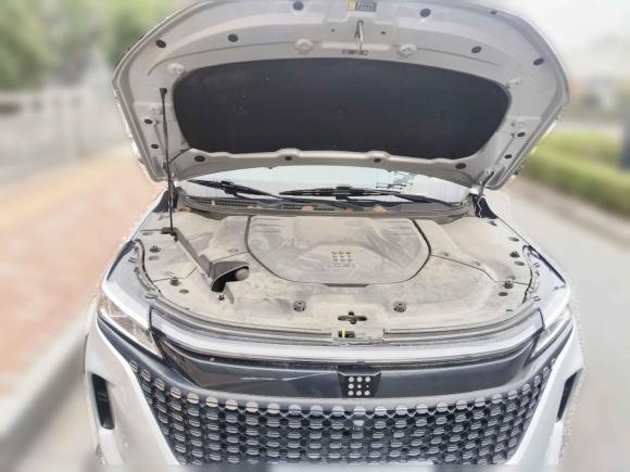 [嘉兴·浙F] 二手蓝电蓝电E52023款 1.5L DE-i 100KM臻享型 7座