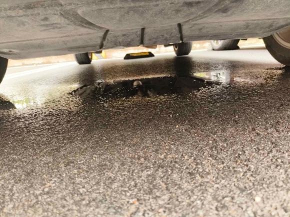 [上海·苏H] 二手大众C-TREK蔚领2017款 230TSI DSG舒适型