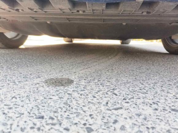 [上海·沪F] 二手福特福克斯2021款 两厢 EcoBoost 180 自动ST Line