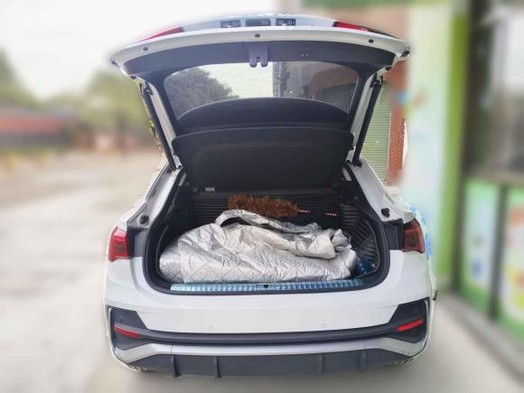 [佛山·粤E] 二手奥迪奥迪Q32020款 40 TFSI 时尚动感型