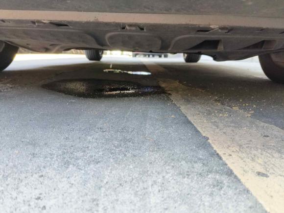 [金华·浙G] 二手大众甲壳虫2013款 1.4TSI 时尚型