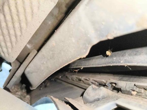 [西安·陕A] 二手大众高尔夫2010款 1.4TSI 手动舒适型